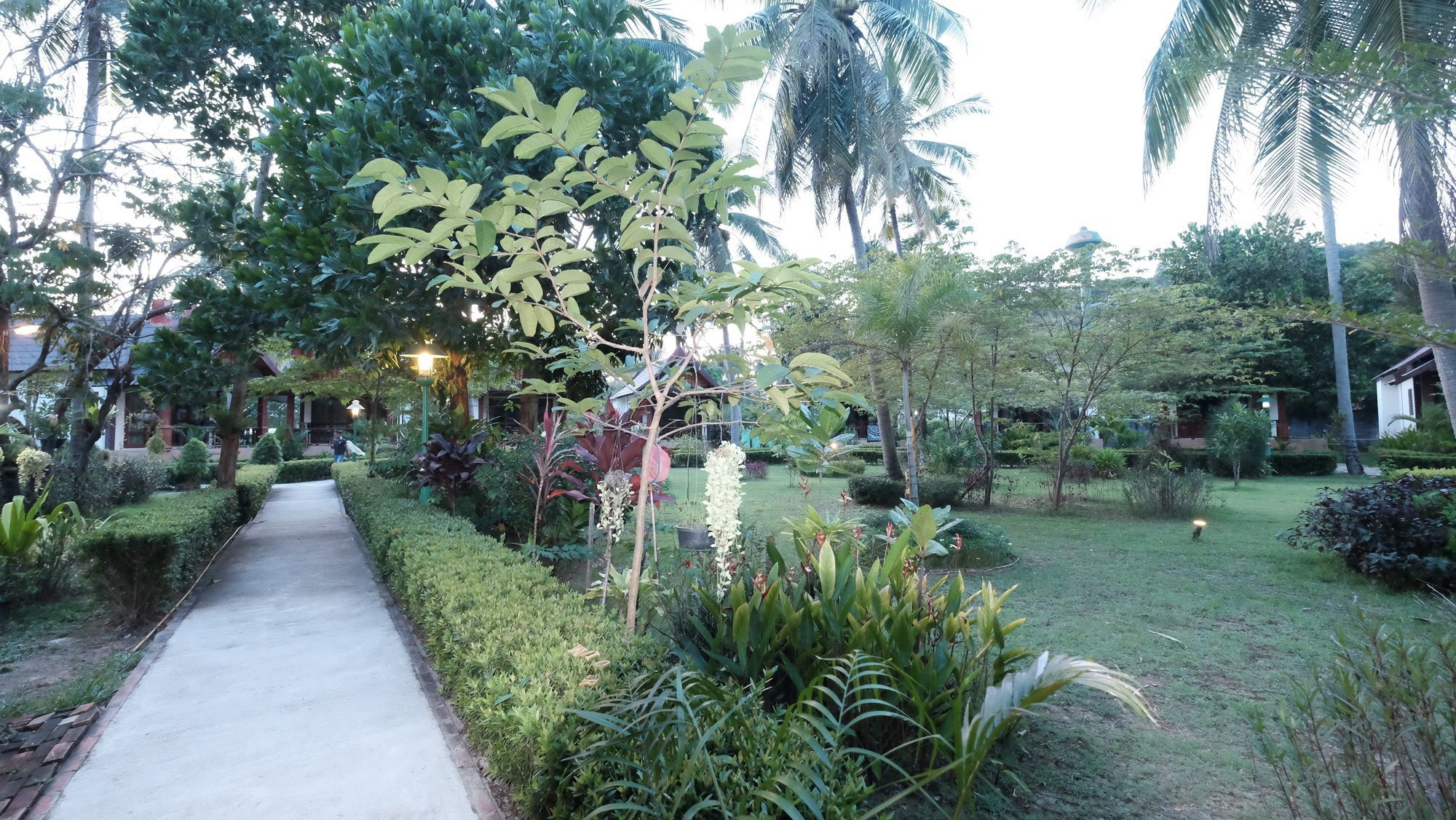 Rasa Sayang Resort - Sha Certificate Ко-Ланта Екстер'єр фото